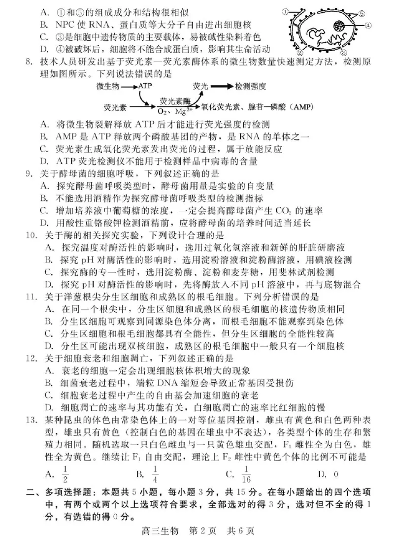 河北省NT202025&mdash;2026学年高三上学期10月联考生物试题（含答案）_2025年10月_251018河北省NT202025&mdash;2026学年高三上学期10月联考（全科）