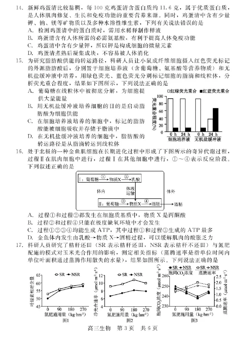河北省NT202025&mdash;2026学年高三上学期10月联考生物试题（含答案）_2025年10月_251018河北省NT202025&mdash;2026学年高三上学期10月联考（全科）