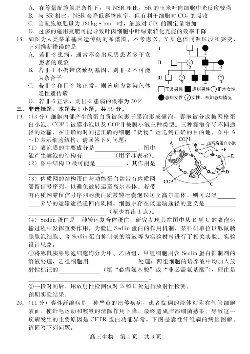 河北省NT202025&mdash;2026学年高三上学期10月联考生物试题（含答案）_2025年10月_251018河北省NT202025&mdash;2026学年高三上学期10月联考（全科）