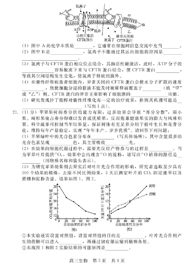 河北省NT202025&mdash;2026学年高三上学期10月联考生物试题（含答案）_2025年10月_251018河北省NT202025&mdash;2026学年高三上学期10月联考（全科）