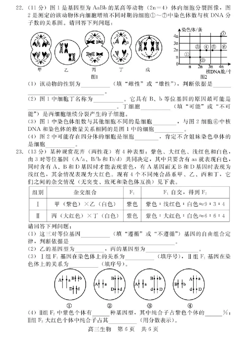 河北省NT202025&mdash;2026学年高三上学期10月联考生物试题（含答案）_2025年10月_251018河北省NT202025&mdash;2026学年高三上学期10月联考（全科）