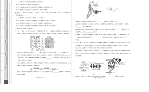 高二生物上学期第一次月考卷（天津专用）（考试版A3）_1多考区联考试卷_2510142025-2026学年高二生物上学期第一次月考试题