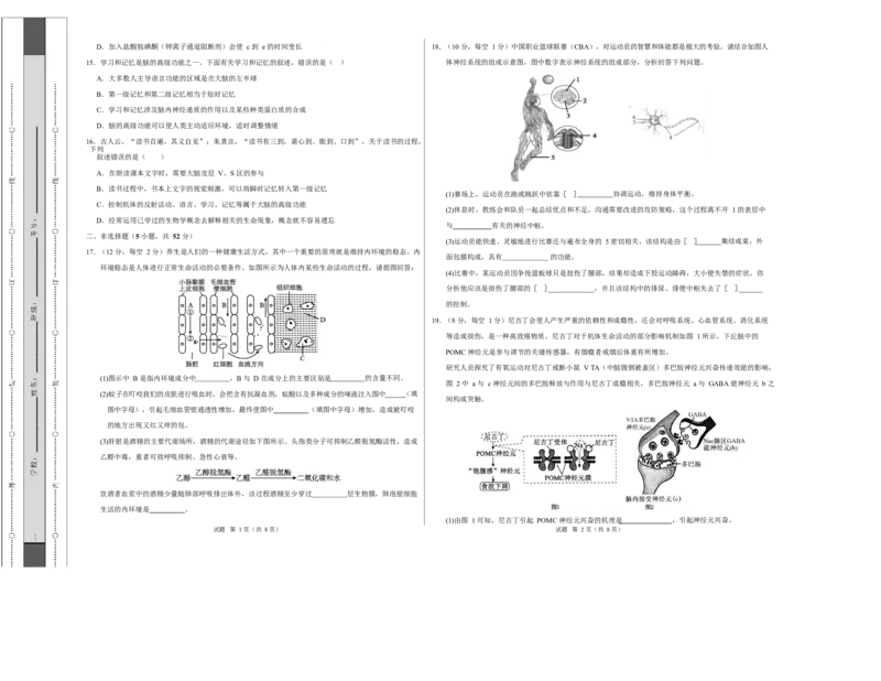 高二生物上学期第一次月考卷（天津专用）（考试版A3）_1多考区联考试卷_2510142025-2026学年高二生物上学期第一次月考试题