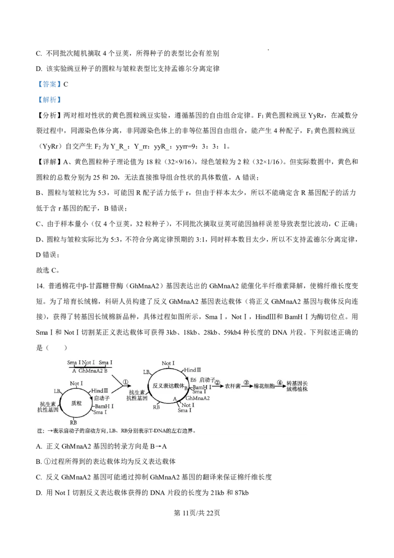 生物答案-厦门双十中学2024-2025学年高三上暑假阶段性训练_2025年8月_250813福建省厦门双十中学2024-2025学年高三上暑假阶段性训练