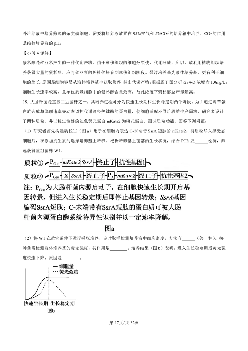 生物答案-厦门双十中学2024-2025学年高三上暑假阶段性训练_2025年8月_250813福建省厦门双十中学2024-2025学年高三上暑假阶段性训练