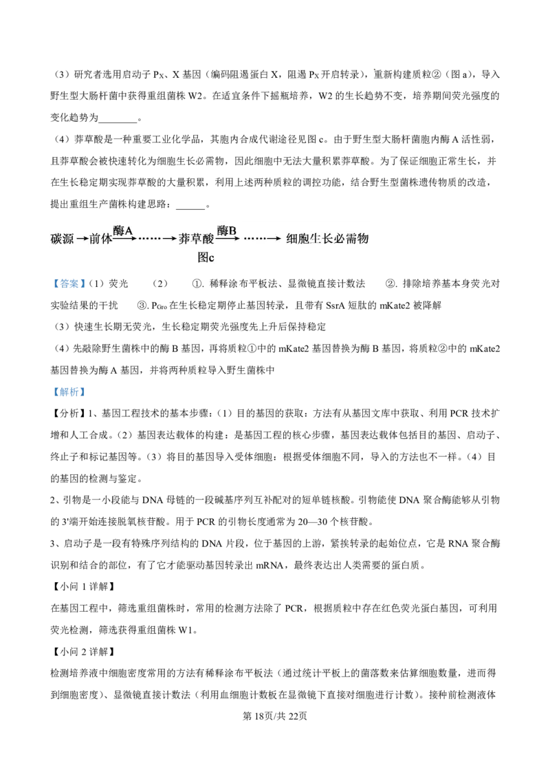 生物答案-厦门双十中学2024-2025学年高三上暑假阶段性训练_2025年8月_250813福建省厦门双十中学2024-2025学年高三上暑假阶段性训练