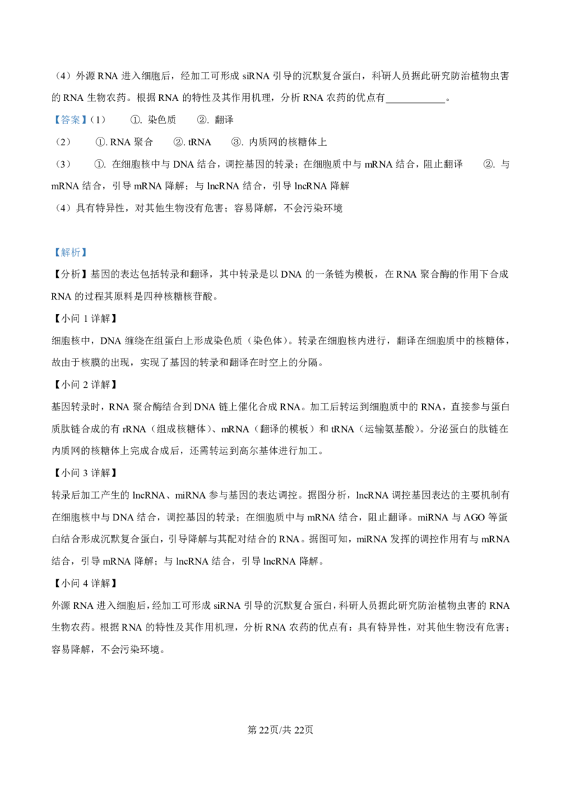 生物答案-厦门双十中学2024-2025学年高三上暑假阶段性训练_2025年8月_250813福建省厦门双十中学2024-2025学年高三上暑假阶段性训练
