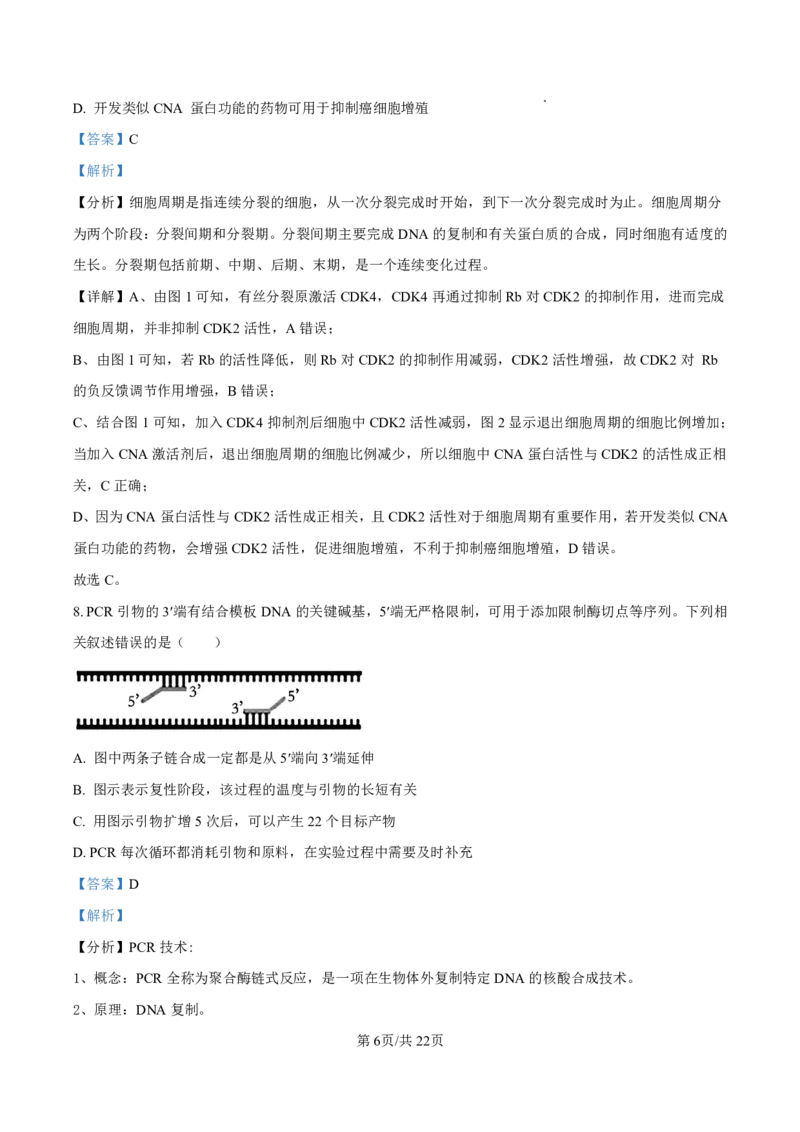 生物答案-厦门双十中学2024-2025学年高三上暑假阶段性训练_2025年8月_250813福建省厦门双十中学2024-2025学年高三上暑假阶段性训练