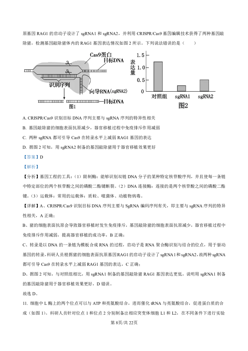 生物答案-厦门双十中学2024-2025学年高三上暑假阶段性训练_2025年8月_250813福建省厦门双十中学2024-2025学年高三上暑假阶段性训练