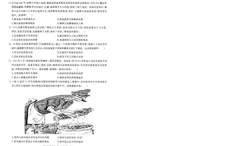 湖北省部分重点中学历史试卷_2025年1月_250116湖北省部分重点中学2025届高三第二次联考（全科）
