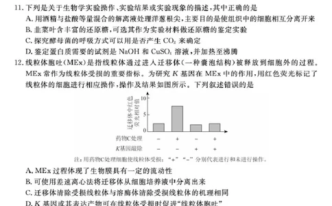 福建省百校2026届高三上学期10月联合测评生物试题（含答案）_2025年10月_251019福建省百校2026届高三上学期10月联合测评