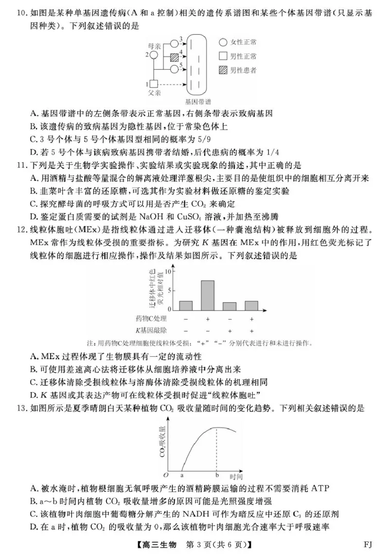 福建省百校2026届高三上学期10月联合测评生物试题（含答案）_2025年10月_251019福建省百校2026届高三上学期10月联合测评