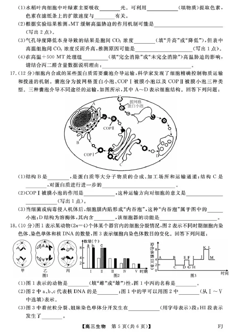 福建省百校2026届高三上学期10月联合测评生物试题（含答案）_2025年10月_251019福建省百校2026届高三上学期10月联合测评