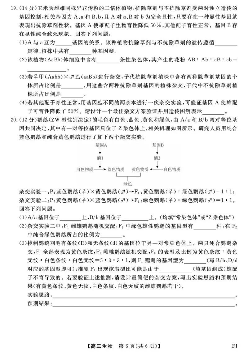 福建省百校2026届高三上学期10月联合测评生物试题（含答案）_2025年10月_251019福建省百校2026届高三上学期10月联合测评