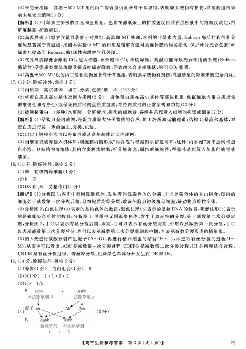 福建省百校2026届高三上学期10月联合测评生物试题（含答案）_2025年10月_251019福建省百校2026届高三上学期10月联合测评