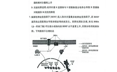 天一大联考2025届高三考前模拟-生物试卷+答案_2025年5月_05222025届河南省天一大联考高三模拟预测