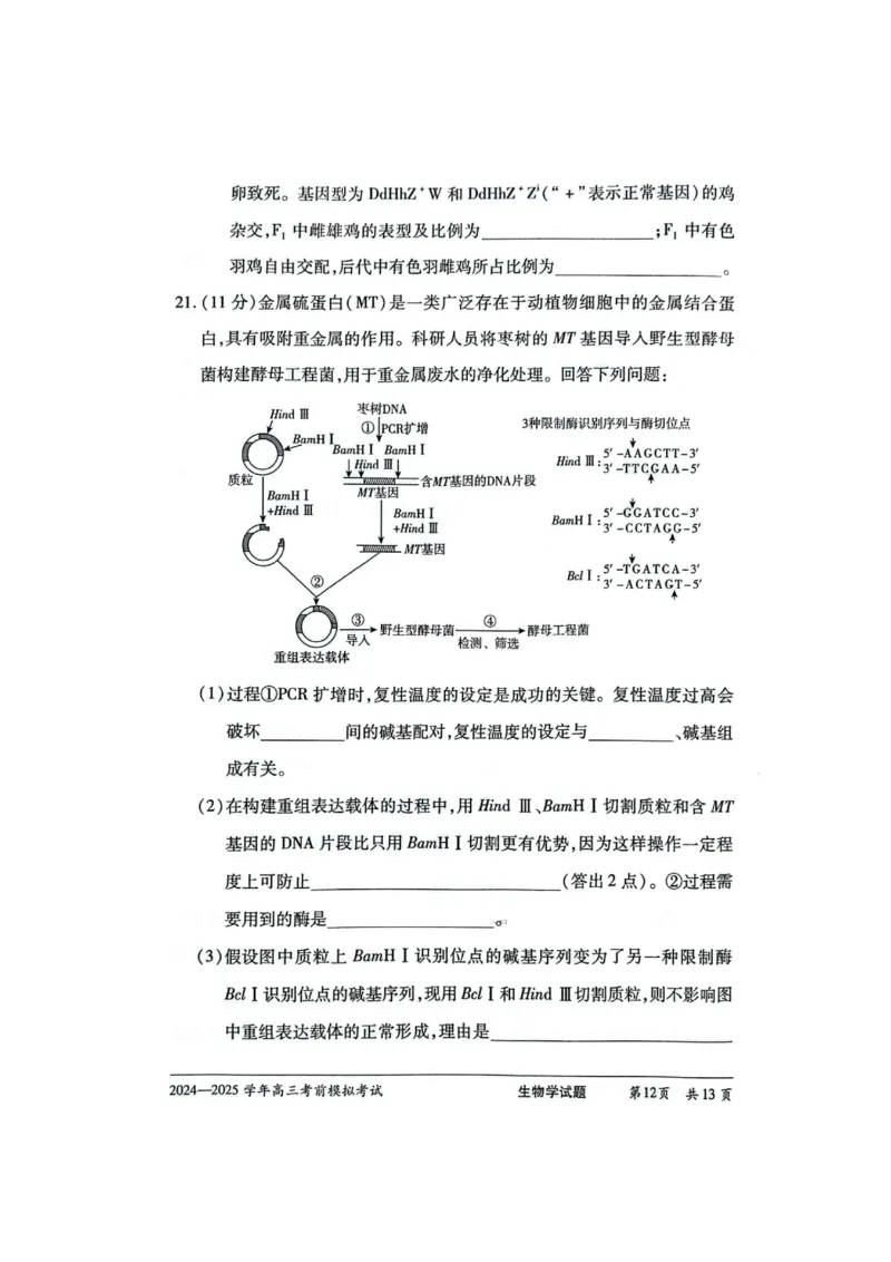 天一大联考2025届高三考前模拟-生物试卷+答案_2025年5月_05222025届河南省天一大联考高三模拟预测