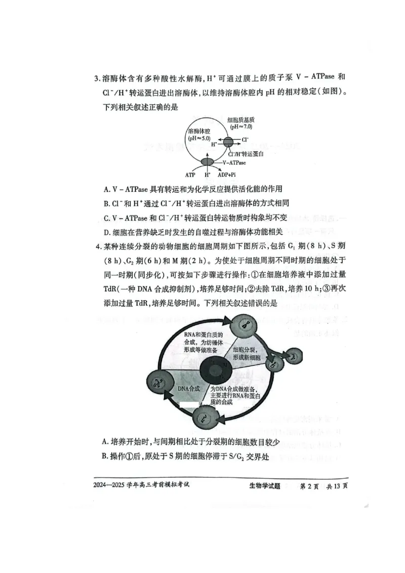 天一大联考2025届高三考前模拟-生物试卷+答案_2025年5月_05222025届河南省天一大联考高三模拟预测