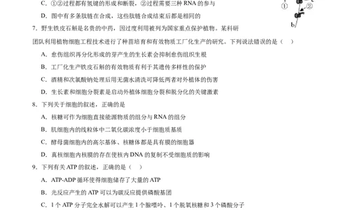生物学_2025年2月_250205山东省淄博实验中学2024-2025学年高三下学期开学考试_山东省淄博实验中学2024-2025学年高三下学期开学考试生物试题（有答案）