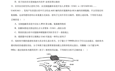 生物学_2025年2月_250205山东省淄博实验中学2024-2025学年高三下学期开学考试_山东省淄博实验中学2024-2025学年高三下学期开学考试生物试题（有答案）