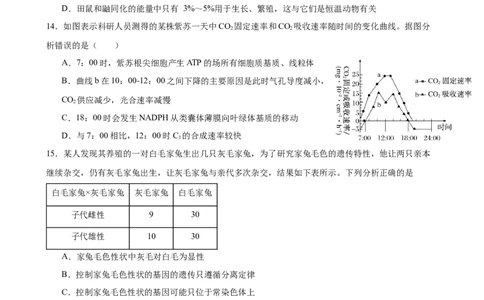生物学_2025年2月_250205山东省淄博实验中学2024-2025学年高三下学期开学考试_山东省淄博实验中学2024-2025学年高三下学期开学考试生物试题（有答案）