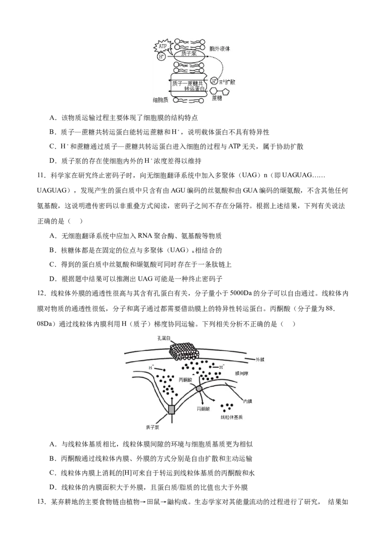 生物学_2025年2月_250205山东省淄博实验中学2024-2025学年高三下学期开学考试_山东省淄博实验中学2024-2025学年高三下学期开学考试生物试题（有答案）