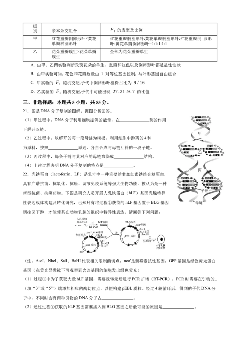 生物学_2025年2月_250205山东省淄博实验中学2024-2025学年高三下学期开学考试_山东省淄博实验中学2024-2025学年高三下学期开学考试生物试题（有答案）