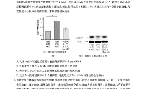 华大新高考联盟2026届高三上学期9月教学质量测评生物试卷(图片版含解析)_2025年9月_250907华大新高考联盟2026届高三9月教学质量测评