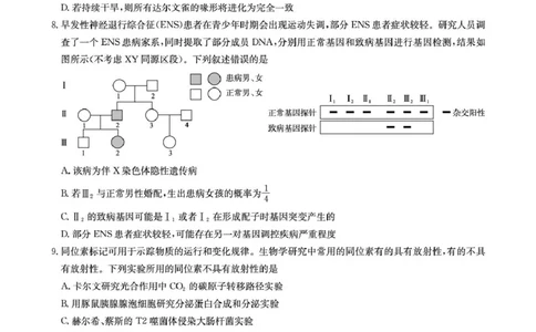 华大新高考联盟2026届高三上学期9月教学质量测评生物试卷(图片版含解析)_2025年9月_250907华大新高考联盟2026届高三9月教学质量测评