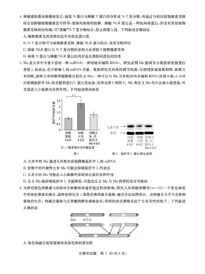 华大新高考联盟2026届高三上学期9月教学质量测评生物试卷(图片版含解析)_2025年9月_250907华大新高考联盟2026届高三9月教学质量测评