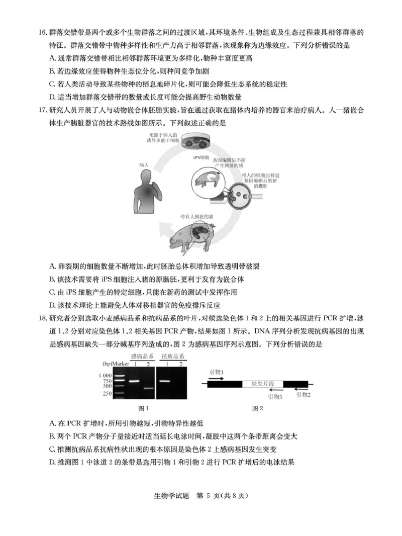 华大新高考联盟2026届高三上学期9月教学质量测评生物试卷(图片版含解析)_2025年9月_250907华大新高考联盟2026届高三9月教学质量测评
