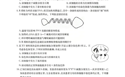 广东省部分学校2026届高三上学期10月联考生物C2_2025年10月_251020金太阳&middot;广东省2026届高三上学期10月联考（26-27C）（全科）