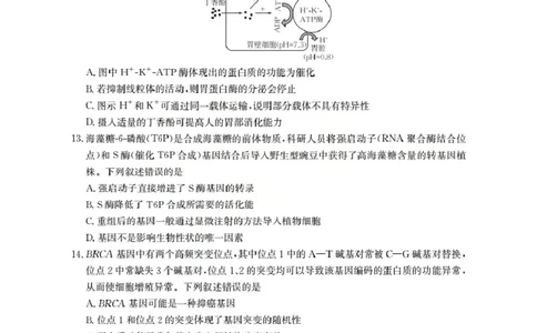 广东省部分学校2026届高三上学期10月联考生物C2_2025年10月_251020金太阳&middot;广东省2026届高三上学期10月联考（26-27C）（全科）