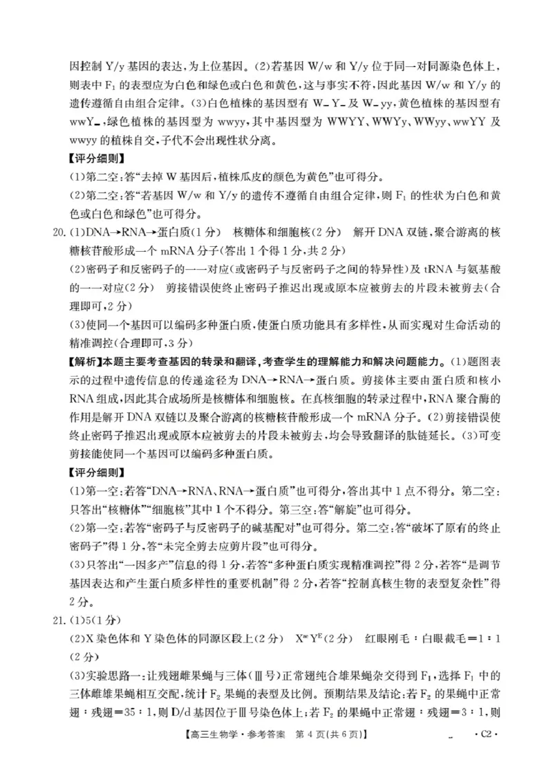 广东省部分学校2026届高三上学期10月联考生物C2_2025年10月_251020金太阳&middot;广东省2026届高三上学期10月联考（26-27C）（全科）