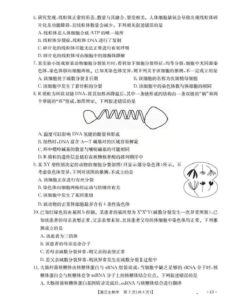 广东省部分学校2026届高三上学期10月联考生物C2_2025年10月_251020金太阳&middot;广东省2026届高三上学期10月联考（26-27C）（全科）