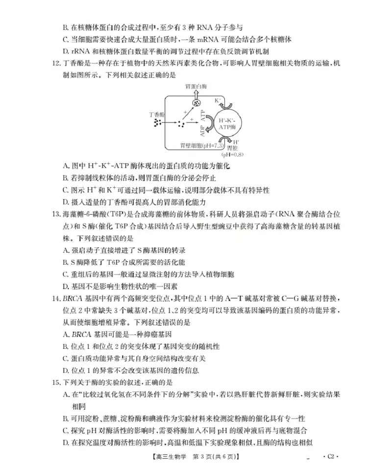广东省部分学校2026届高三上学期10月联考生物C2_2025年10月_251020金太阳&middot;广东省2026届高三上学期10月联考（26-27C）（全科）