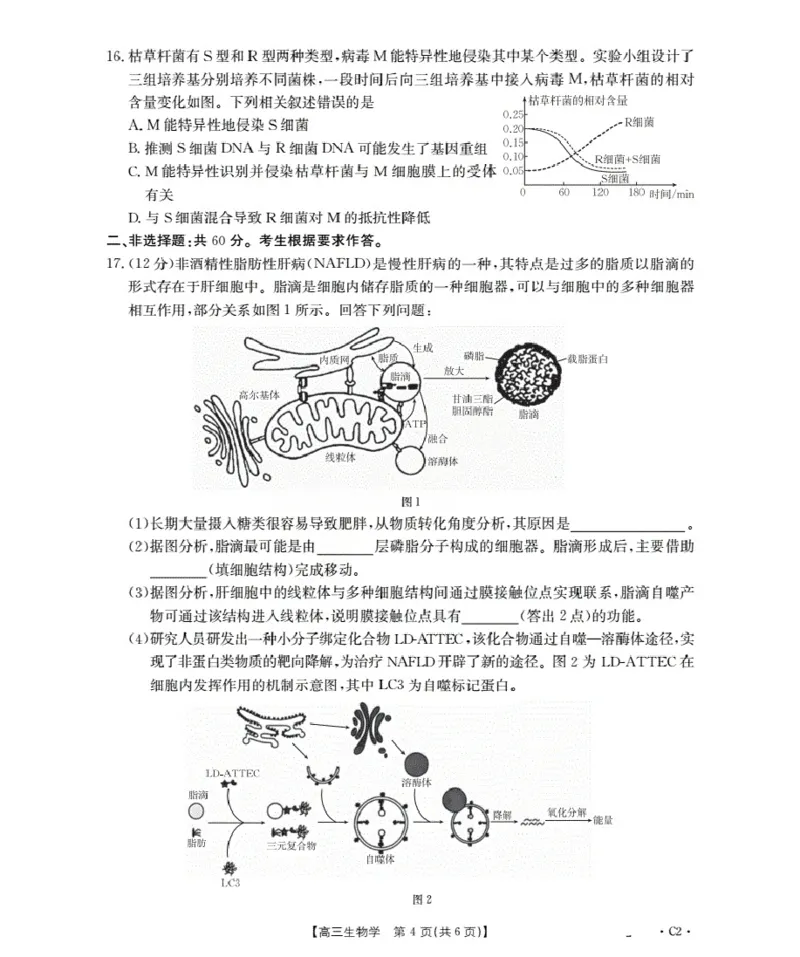 广东省部分学校2026届高三上学期10月联考生物C2_2025年10月_251020金太阳&middot;广东省2026届高三上学期10月联考（26-27C）（全科）