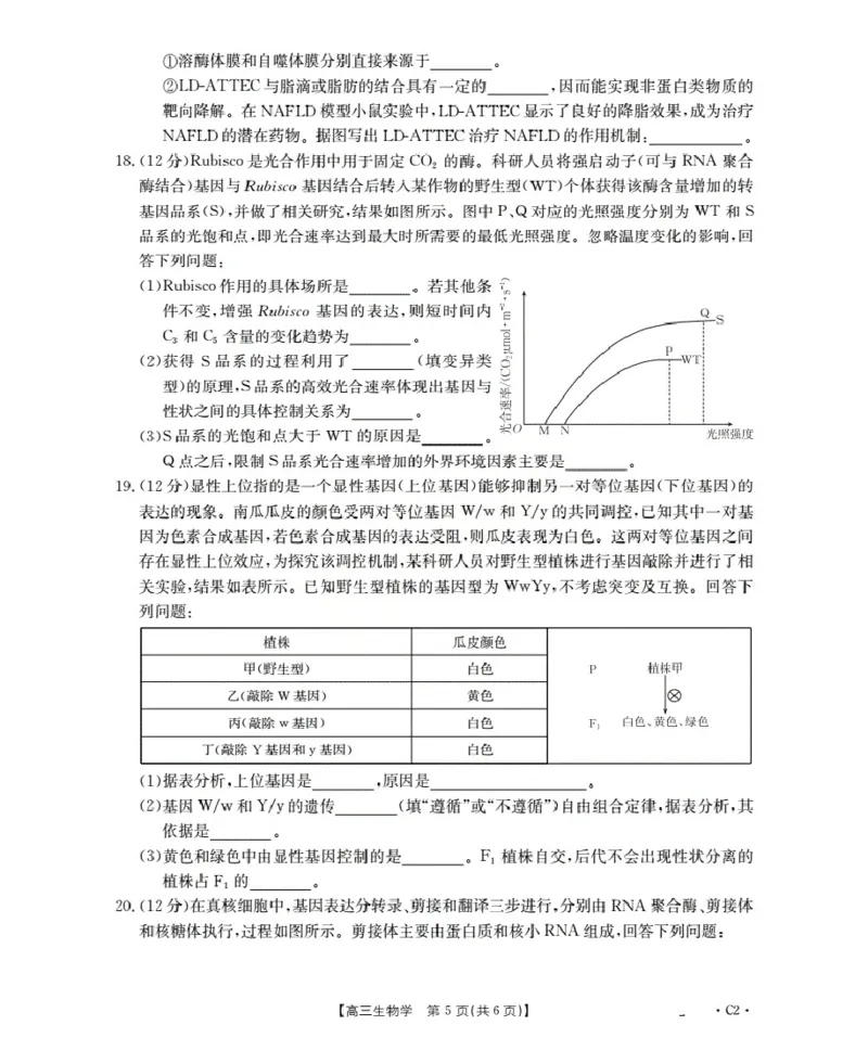 广东省部分学校2026届高三上学期10月联考生物C2_2025年10月_251020金太阳&middot;广东省2026届高三上学期10月联考（26-27C）（全科）