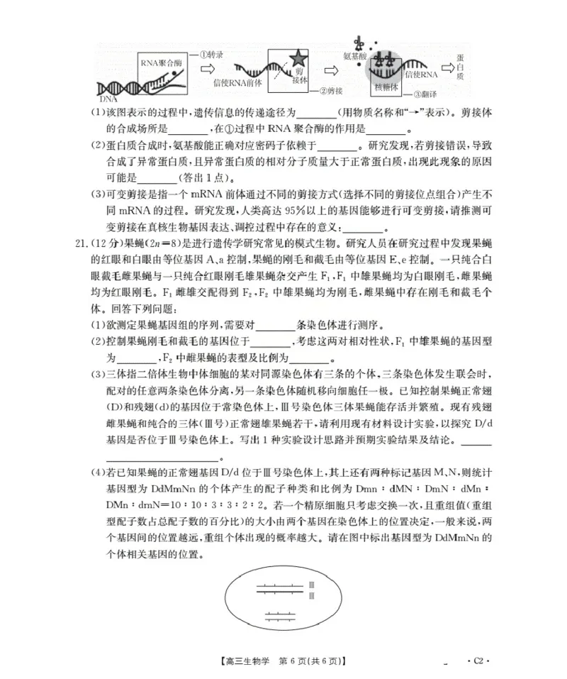 广东省部分学校2026届高三上学期10月联考生物C2_2025年10月_251020金太阳&middot;广东省2026届高三上学期10月联考（26-27C）（全科）