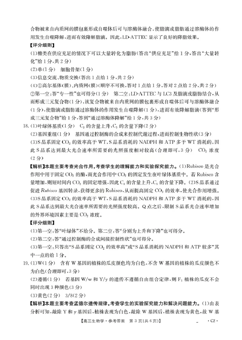 广东省部分学校2026届高三上学期10月联考生物C2_2025年10月_251020金太阳&middot;广东省2026届高三上学期10月联考（26-27C）（全科）