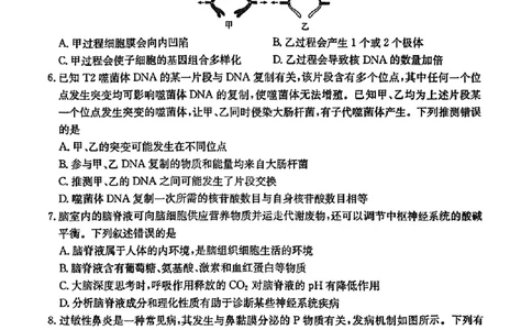 辽宁省金太阳2025届高三1月联考生物_2025年1月_250111辽宁省金太阳2025届高三1月联考_辽宁省金太阳2025届高三1月联考生物