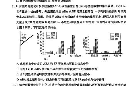 辽宁省金太阳2025届高三1月联考生物_2025年1月_250111辽宁省金太阳2025届高三1月联考_辽宁省金太阳2025届高三1月联考生物