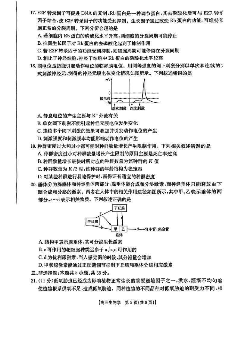 辽宁省金太阳2025届高三1月联考生物_2025年1月_250111辽宁省金太阳2025届高三1月联考_辽宁省金太阳2025届高三1月联考生物