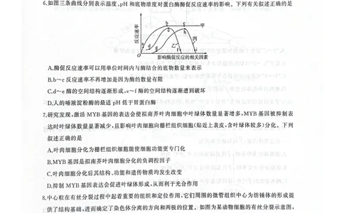 河北省衡水市2025-2026学年高三上学期四调考试生物试题（含答案）_2025年10月_251029河北省衡水市2025-2026学年高三上学期四调考试