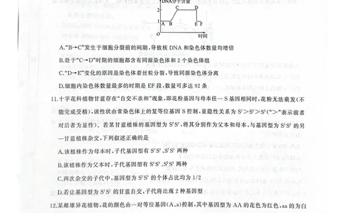 河北省衡水市2025-2026学年高三上学期四调考试生物试题（含答案）_2025年10月_251029河北省衡水市2025-2026学年高三上学期四调考试