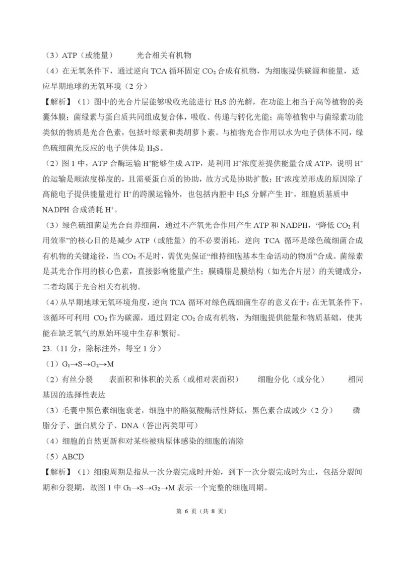 河北省衡水市2025-2026学年高三上学期四调考试生物试题（含答案）_2025年10月_251029河北省衡水市2025-2026学年高三上学期四调考试