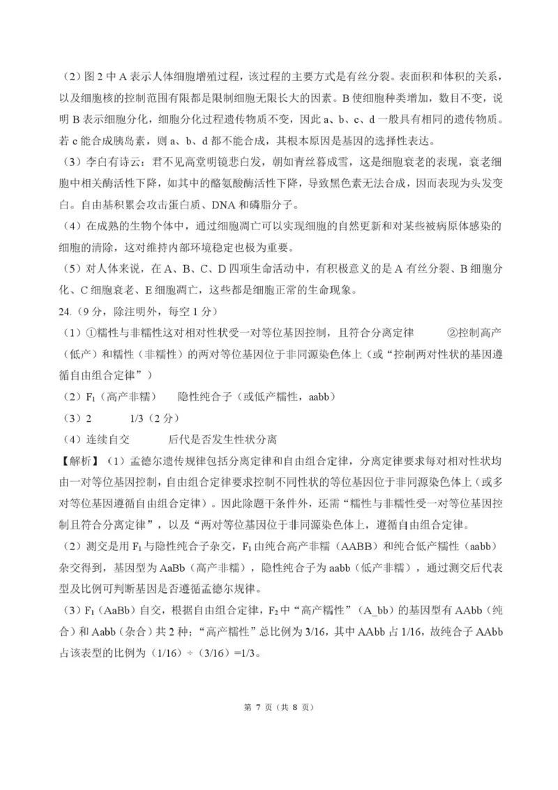 河北省衡水市2025-2026学年高三上学期四调考试生物试题（含答案）_2025年10月_251029河北省衡水市2025-2026学年高三上学期四调考试