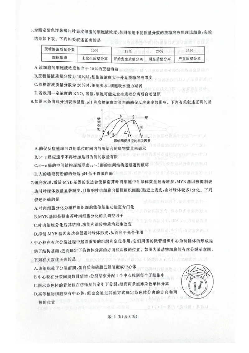 河北省衡水市2025-2026学年高三上学期四调考试生物试题（含答案）_2025年10月_251029河北省衡水市2025-2026学年高三上学期四调考试
