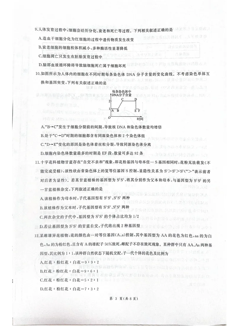 河北省衡水市2025-2026学年高三上学期四调考试生物试题（含答案）_2025年10月_251029河北省衡水市2025-2026学年高三上学期四调考试
