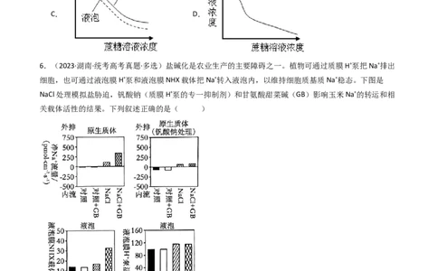 专题03物质运输（原卷卷）_近10年高考真题汇编（必刷）_十年（2014-2024）高考生物真题分项汇编（全国通用）_十年（2014-2023）高考生物真题分项汇编（全国通用）